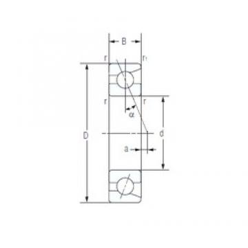 12 mm x 32 mm x 10 mm  NACHI 7201AC Rodamientos de bolas de contacto de cuatro puntos