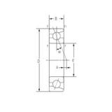 12 mm x 32 mm x 10 mm  NACHI 7201AC Rodamientos de bolas de contacto de cuatro puntos